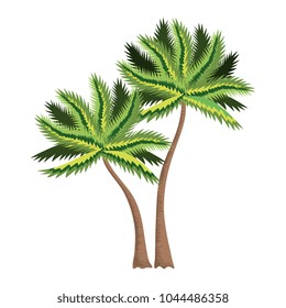 tropical tree palm icon