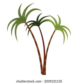 icono de palmas tropicales aisladas