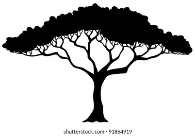 Tropical tree silhouette - vector illustration.