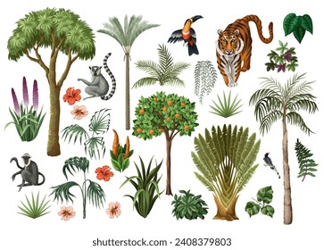 Tropical trees, animals, flowers and birds isolated. Vector