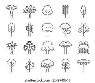 Tropical trees, outline icons of isolated beach, jungle forest and park trees, vector thin line symbols. Garden and forest tree plants of palm, baobab and cactus, maple, oak and birch tree with leaves