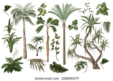 Tropical trees and plants isolated for jungle landscape . Vector.