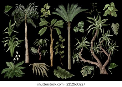 Tropical trees and plants isolated for jungle landscape . Vector.