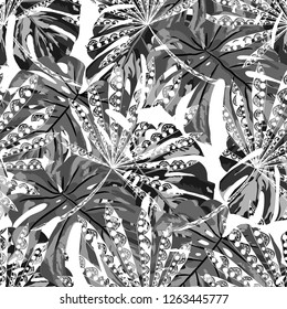 Tropical Trees. Seamless Pattern with Indian Jungle. Trendy Black and White Texture for Wallpaper, Swimwear, Underwear. Vector Tropical Pattern.
