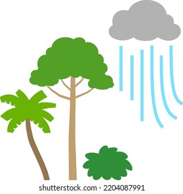 Tropical Trees And Squall, Rainforest