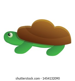 Tropical turtle icon. Cartoon of tropical turtle vector icon for web design isolated on white background