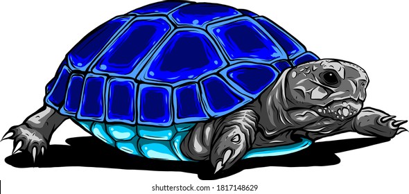 Tropical turtle icon. Cartoon of tropical turtle vector icon for web design