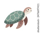 Tropical turtle illustration. Vector illustration. Isolated on white background. Cartoon sea animal. Children graphic for poster