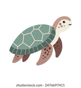 Tropical turtle illustration. Vector illustration. Isolated on white background. Cartoon sea animal. Children graphic for poster