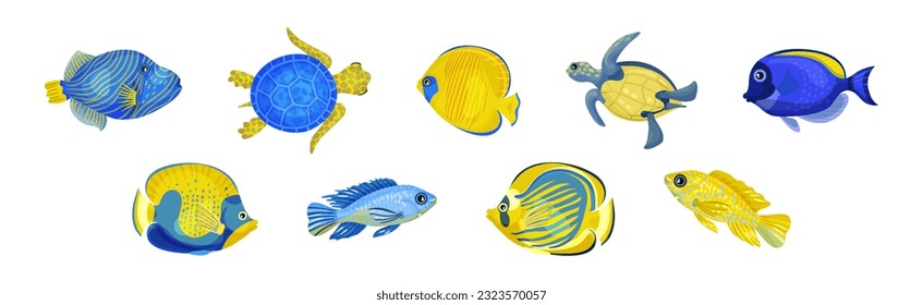 Tropical Turtle Reptile and Fish for Freshwater and Saltwater Aquarium Vector Set