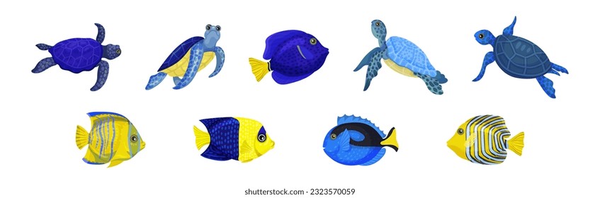 Tropical Turtle Reptile and Fish for Freshwater and Saltwater Aquarium Vector Set