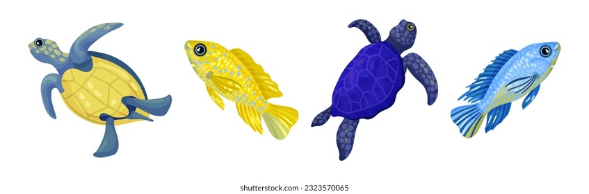 Tropical Turtle Reptile and Fish for Freshwater and Saltwater Aquarium Vector Set