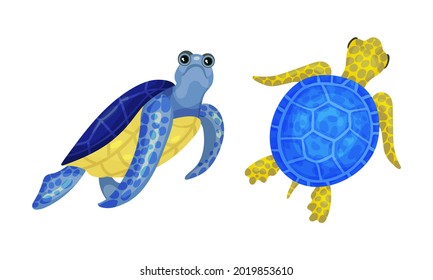 Tropical Turtle Reptile for Freshwater and Saltwater Aquarium Vector Set