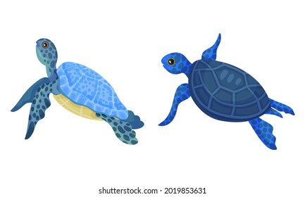 Tropical Turtle Reptile for Freshwater and Saltwater Aquarium Vector Set