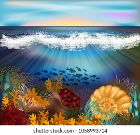 Tropical underwater background with pearl shell  , vector illustration