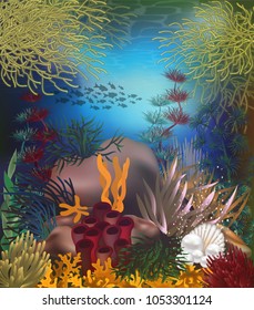 Tropical underwater background with  pearls , vector illustration