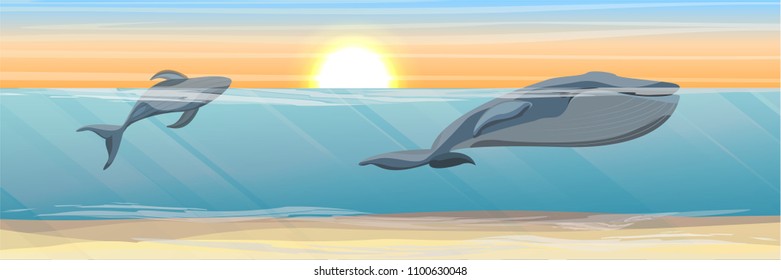 Tropical underwater landscape. Two large blue whale in the water. Algae and sandy bottom. Vector illustration of a sea life