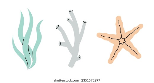 Tropical underwater plants. Freshwater algae, corals, starfish. Vector illustration.