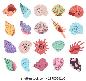 Tropical underwater seashell, clam, oyster shells. Hand drawn sea mollusk shellfish element. Vector flat graphic design illustration