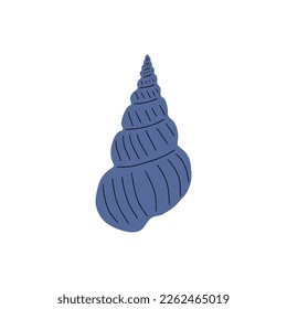 Tropical underwater seashell. Hand drawn sea mollusk shellfish element. Vector illustration in scandinavian style.