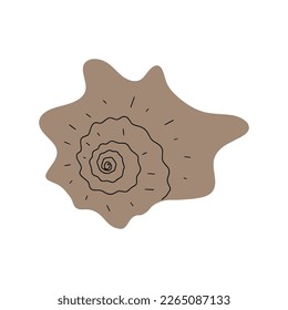 concha tropical submarina. Elemento de moluscos marinos dibujado a mano. Ilustración vectorial al estilo escandinavo.