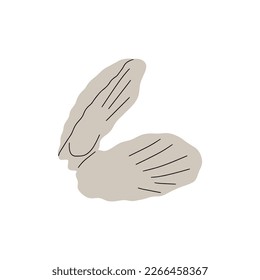 Tropical underwater seashell. Hand drawn sea mollusk shellfish element. Vector illustration in scandinavian style.
