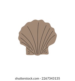 Tropical underwater seashell. Hand drawn sea mollusk shellfish element. Vector illustration in scandinavian style.