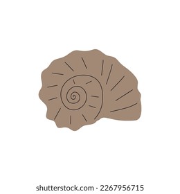 Tropical underwater seashell. Hand drawn sea mollusk shellfish element. Vector illustration in scandinavian style.