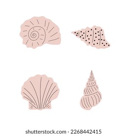 Tropical underwater seashell. Hand drawn sea mollusk shellfish element. Vector illustration in scandinavian style.