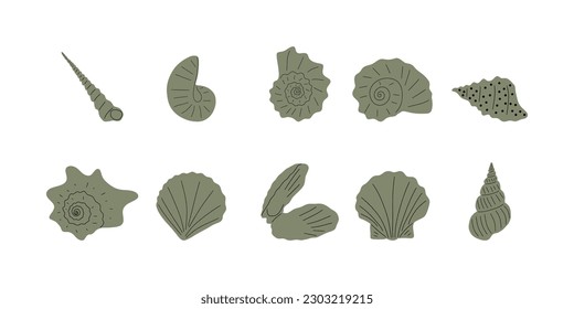 Tropical underwater seashell. Hand drawn sea mollusk shellfish element. Vector illustration in scandinavian style.