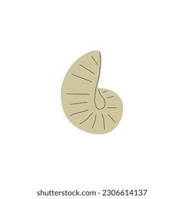 Tropical underwater seashell. Hand drawn sea mollusk shellfish element. Vector illustration in scandinavian style.
