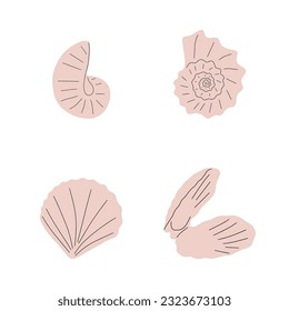 Tropical underwater seashell. Hand drawn sea mollusk shellfish element. Vector illustration in scandinavian style.