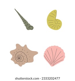 Tropical underwater seashell. Hand drawn sea mollusk shellfish element. Vector illustration in scandinavian style.
