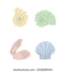 Tropical underwater seashell. Hand drawn sea mollusk shellfish element. Vector illustration in scandinavian style.