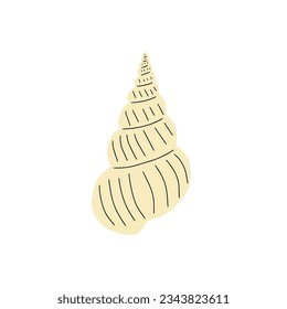 Tropical underwater seashell. Hand drawn sea mollusk shellfish element. Vector illustration in scandinavian style.
