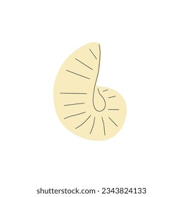 Tropical underwater seashell. Hand drawn sea mollusk shellfish element. Vector illustration in scandinavian style.