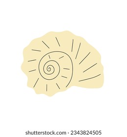 Tropical underwater seashell. Hand drawn sea mollusk shellfish element. Vector illustration in scandinavian style.