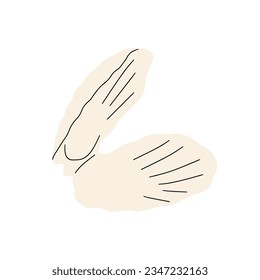 Tropical underwater seashell. Hand drawn sea mollusk shellfish element. Vector illustration in scandinavian style.