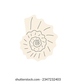 Tropical underwater seashell. Hand drawn sea mollusk shellfish element. Vector illustration in scandinavian style.