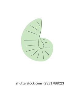 Tropical underwater seashell. Hand drawn sea mollusk shellfish element. Vector illustration in scandinavian style.