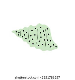 Tropical underwater seashell. Hand drawn sea mollusk shellfish element. Vector illustration in scandinavian style.