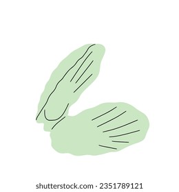 Tropical underwater seashell. Hand drawn sea mollusk shellfish element. Vector illustration in scandinavian style.