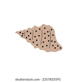 Tropical underwater seashell. Hand drawn sea mollusk shellfish element. Vector illustration in scandinavian style.