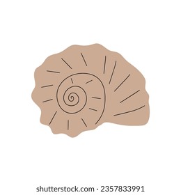 Tropical underwater seashell. Hand drawn sea mollusk shellfish element. Vector illustration in scandinavian style.