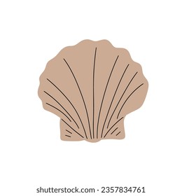 Tropical underwater seashell. Hand drawn sea mollusk shellfish element. Vector illustration in scandinavian style.