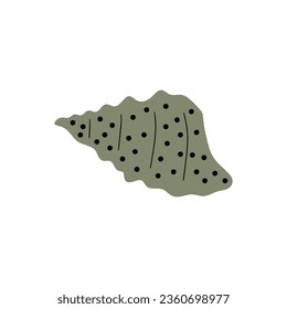 Tropical underwater seashell. Hand drawn sea mollusk shellfish element. Vector illustration in scandinavian style.