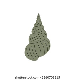 Tropical underwater seashell. Hand drawn sea mollusk shellfish element. Vector illustration in scandinavian style.