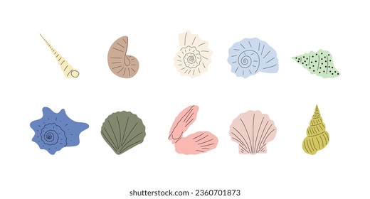 Tropical underwater seashell. Hand drawn sea mollusk shellfish element. Vector illustration in scandinavian style.