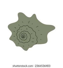 Tropical underwater seashell. Hand drawn sea mollusk shellfish element. Vector illustration in scandinavian style.