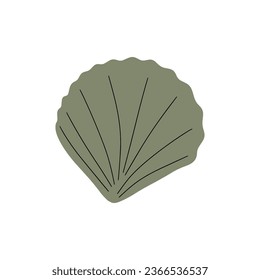 Tropical underwater seashell. Hand drawn sea mollusk shellfish element. Vector illustration in scandinavian style.